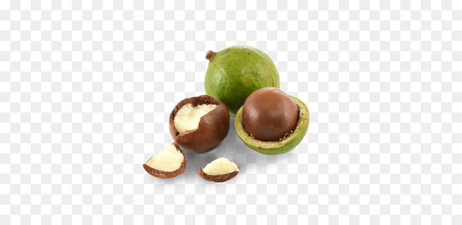 Macadamia Fıstığı，Kabuk PNG