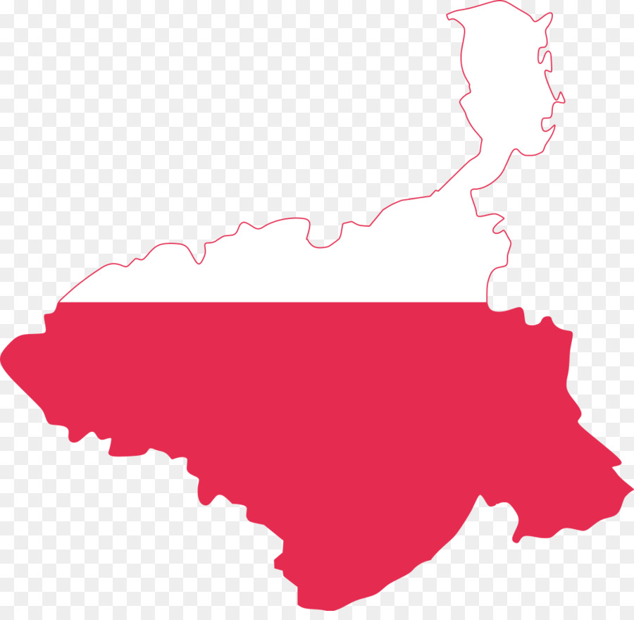 Drg Medtek Sp Z Oo，Polonya Bayrağı PNG