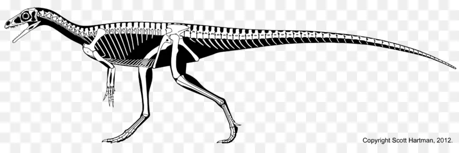 Dinozor İskeleti，Tarih öncesi PNG