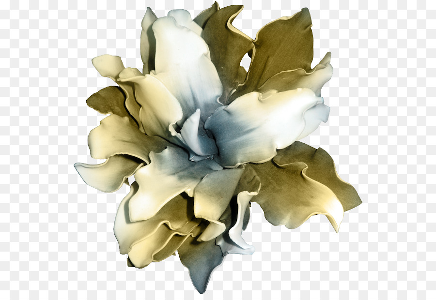 çiçek，Polyvore PNG
