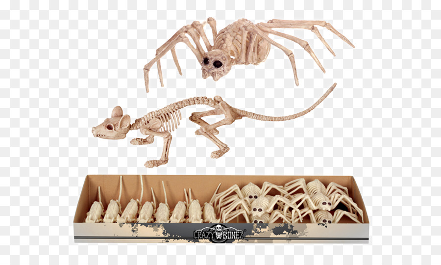 Velociraptor，örümcek PNG