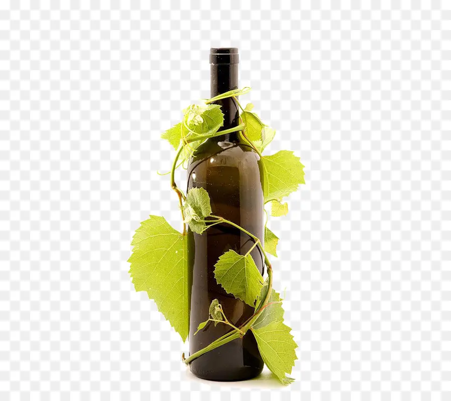 şarap，Ortak üzüm Asma PNG