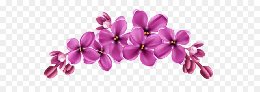 çiçek，İnstagram PNG