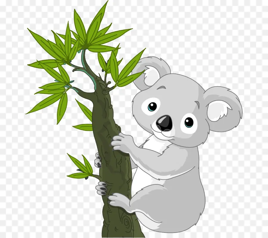 Koala，Ağaç PNG