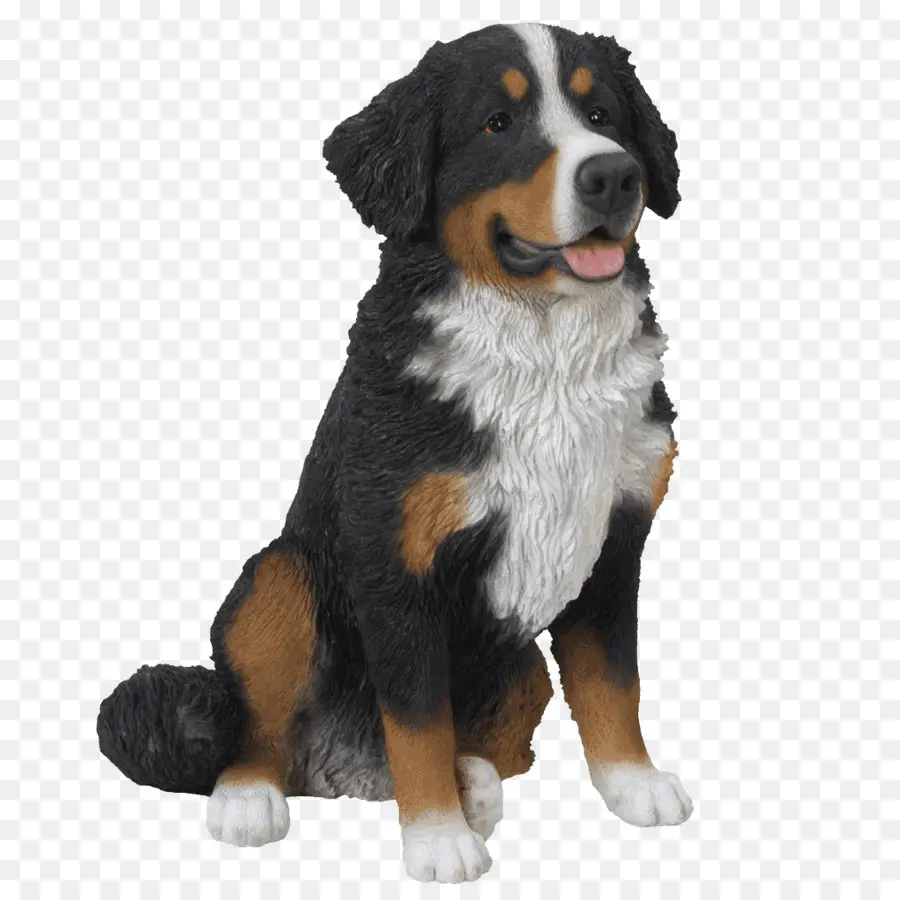 Bernese Dağ Köpeği，Siyah PNG