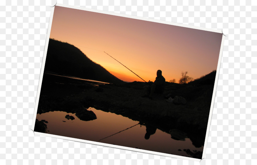 Mahseer，Fotoğraf PNG