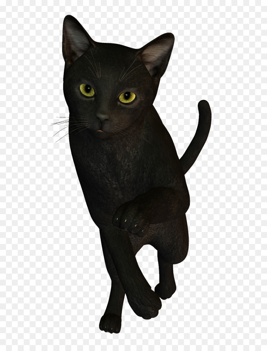 Kara Kedi Heykeli，Hayvan PNG