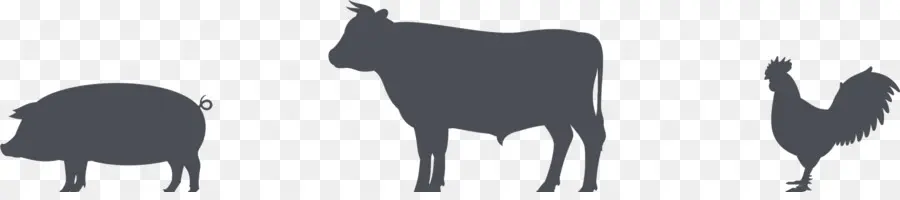 Sığır，Tavuk PNG