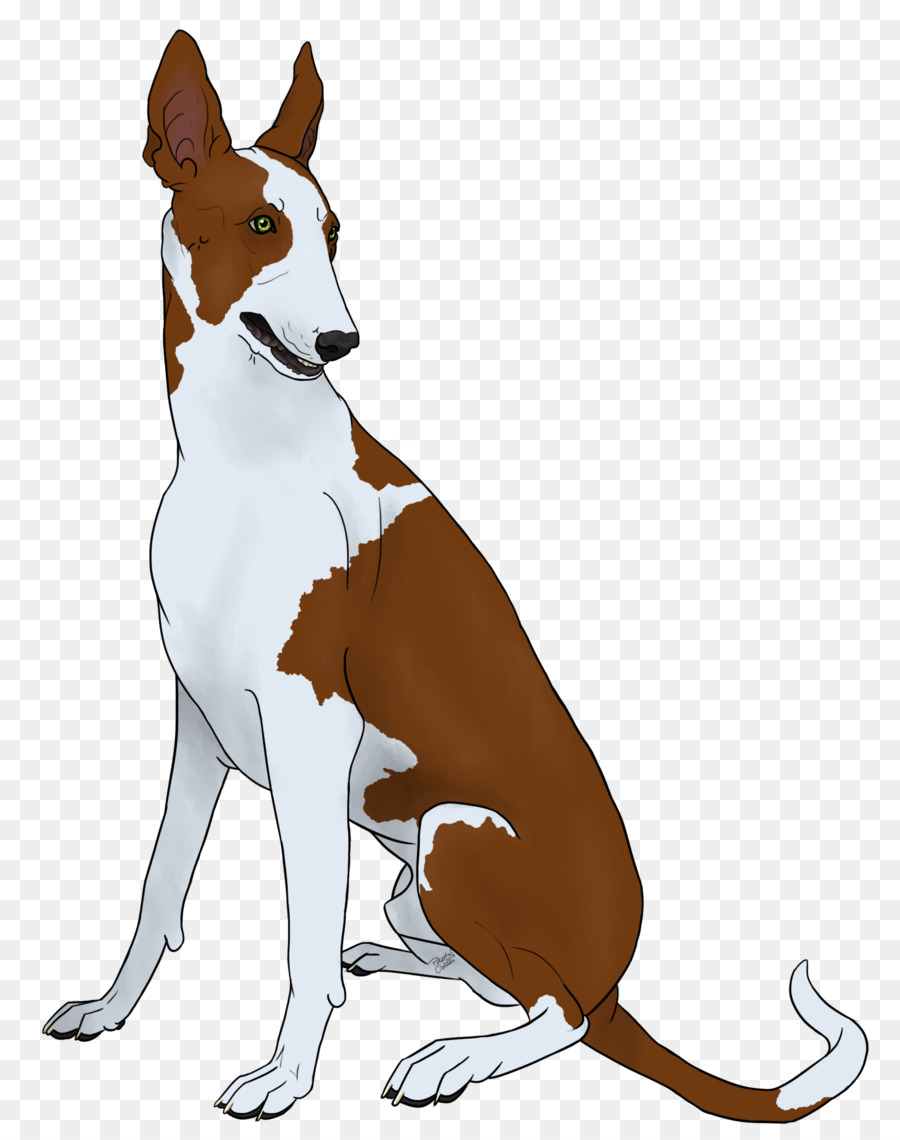 Köpek，Evcil Hayvan PNG