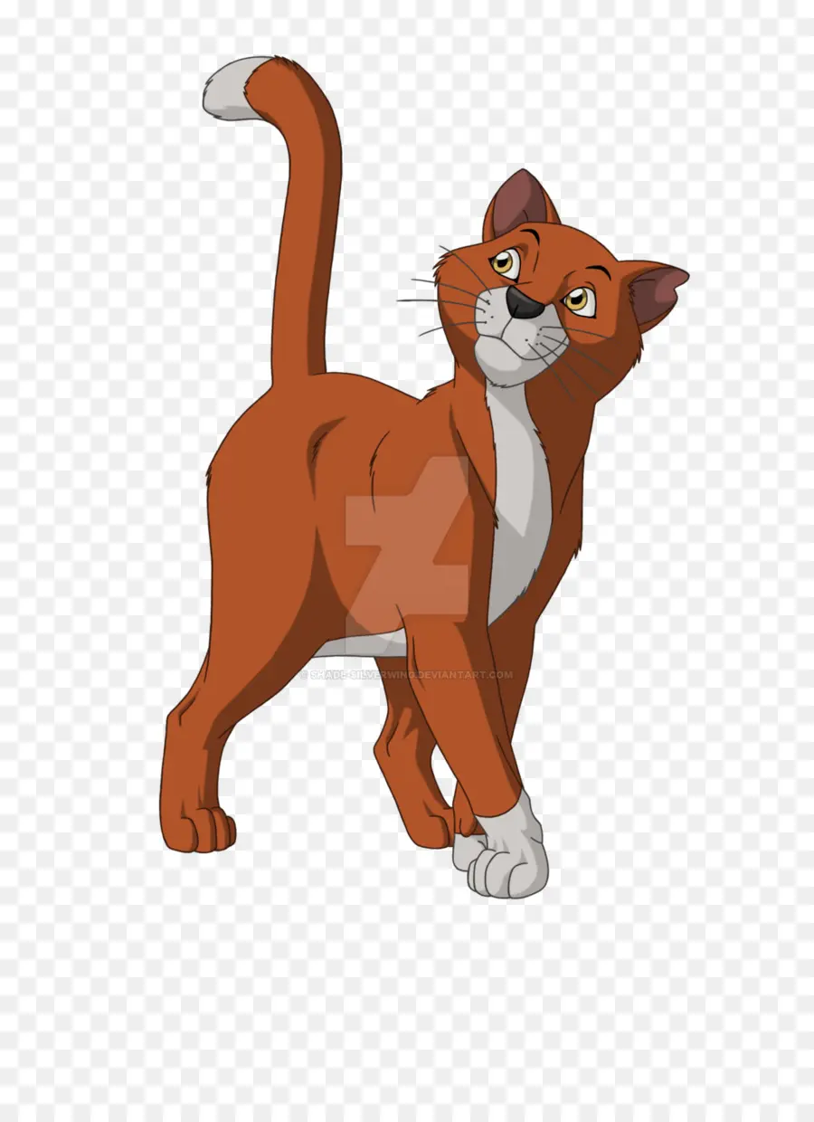 Karikatür Kedi，Kedi PNG