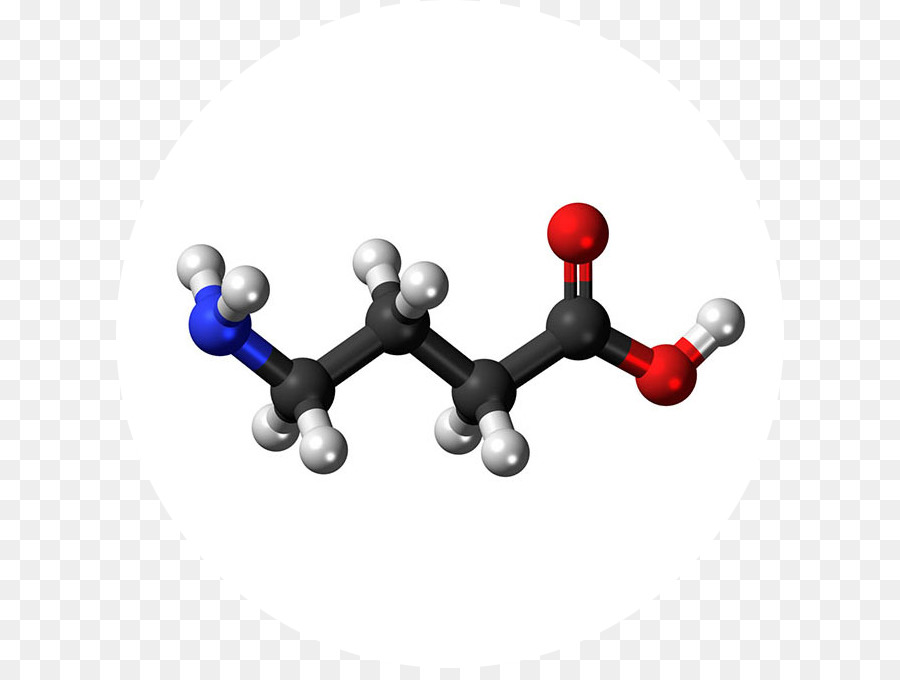 Besin Takviyesi，Gammaaminobutyric Asit PNG