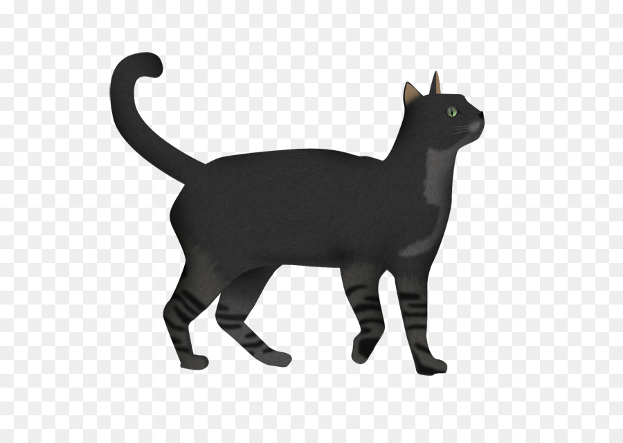 Kara Kedi，Kedi PNG