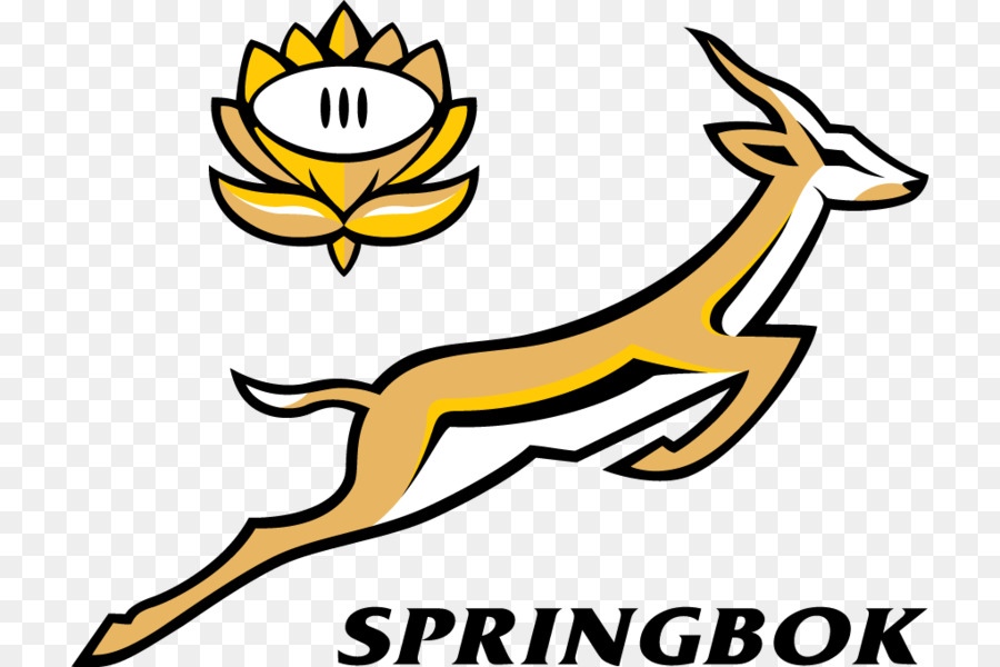 Güney Afrika Milli Ragbi Birliği Takımı，2017 Rugby Şampiyonası PNG