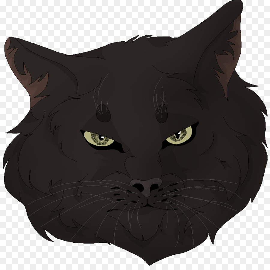 Bombay Kedi，Siyah Kedi PNG