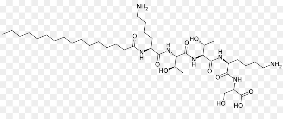 Palmitoyl Pentapeptide4，Siyah Ve Beyaz PNG