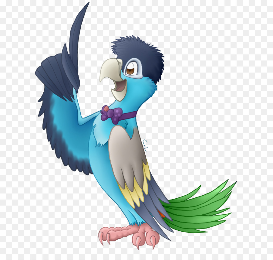 Papağan，Çizim PNG