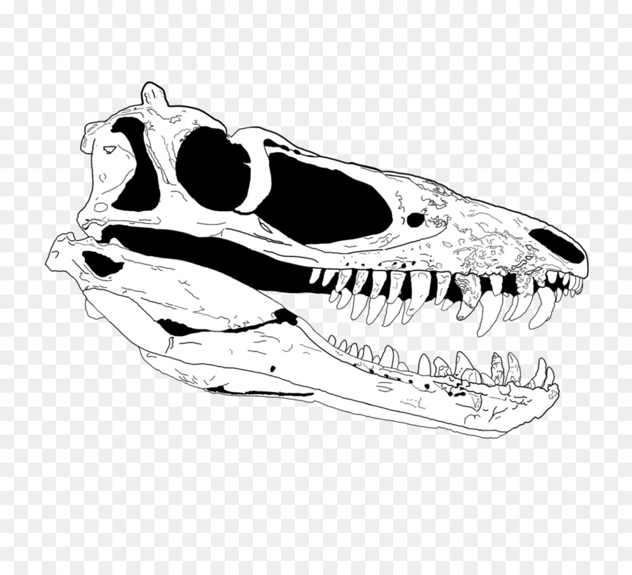 Tyrannosaurus，Paleoart PNG