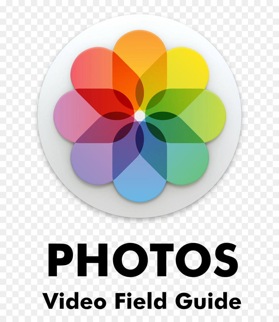 Apple Fotoğrafları，Elma PNG