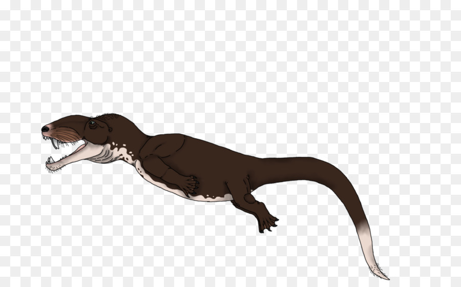 Tyrannosaurus，Austroraptor PNG