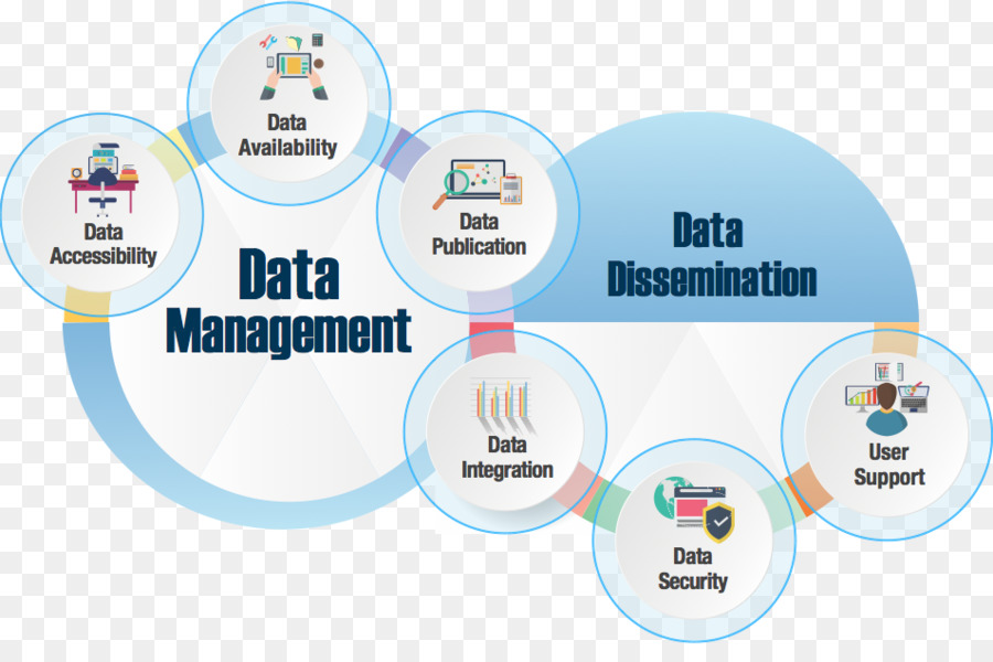 Veri Yönetimi，Yönetim PNG