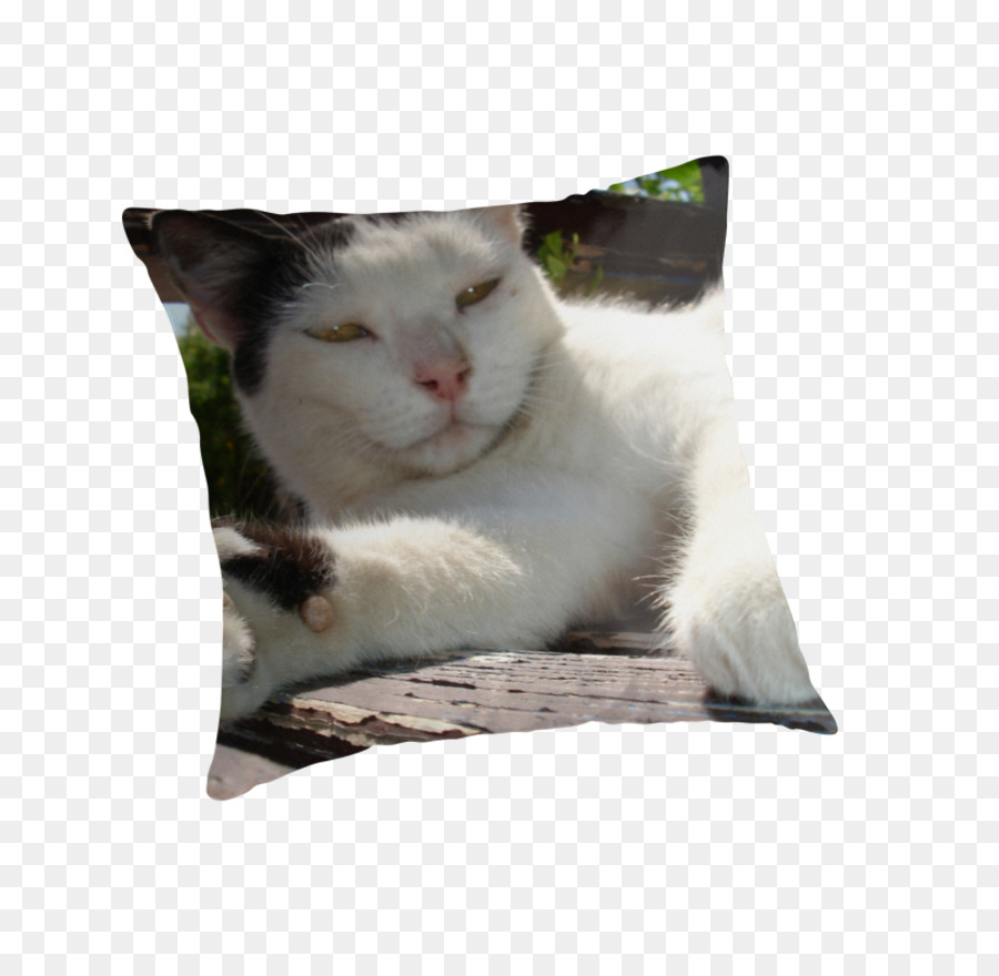 Bıyıkları，Kedi PNG