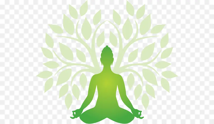 Yoga，Ashtanga Vinyasa Yoga PNG