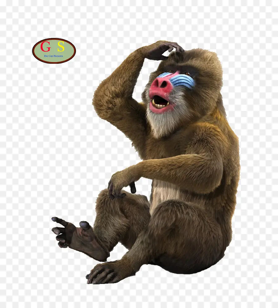 Mandrel，Renkli Yüz PNG