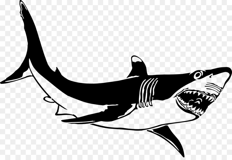 Büyük Beyaz Köpekbalığı，Lamniformes PNG