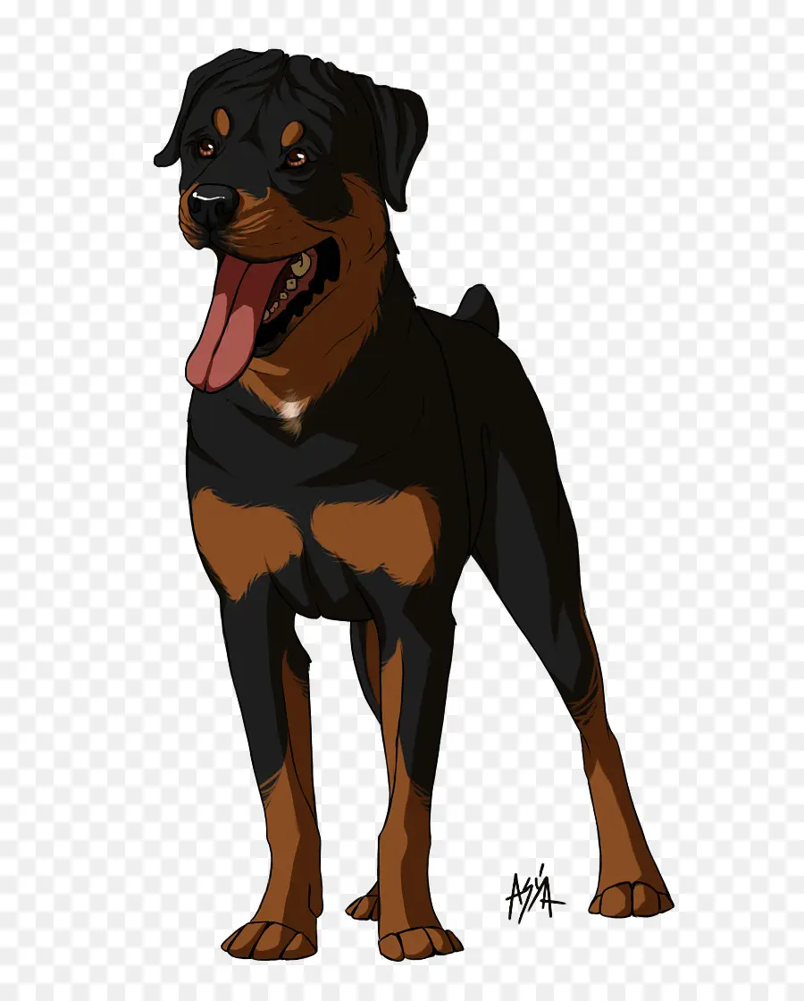 Köpek ırkı，Rottweiler PNG
