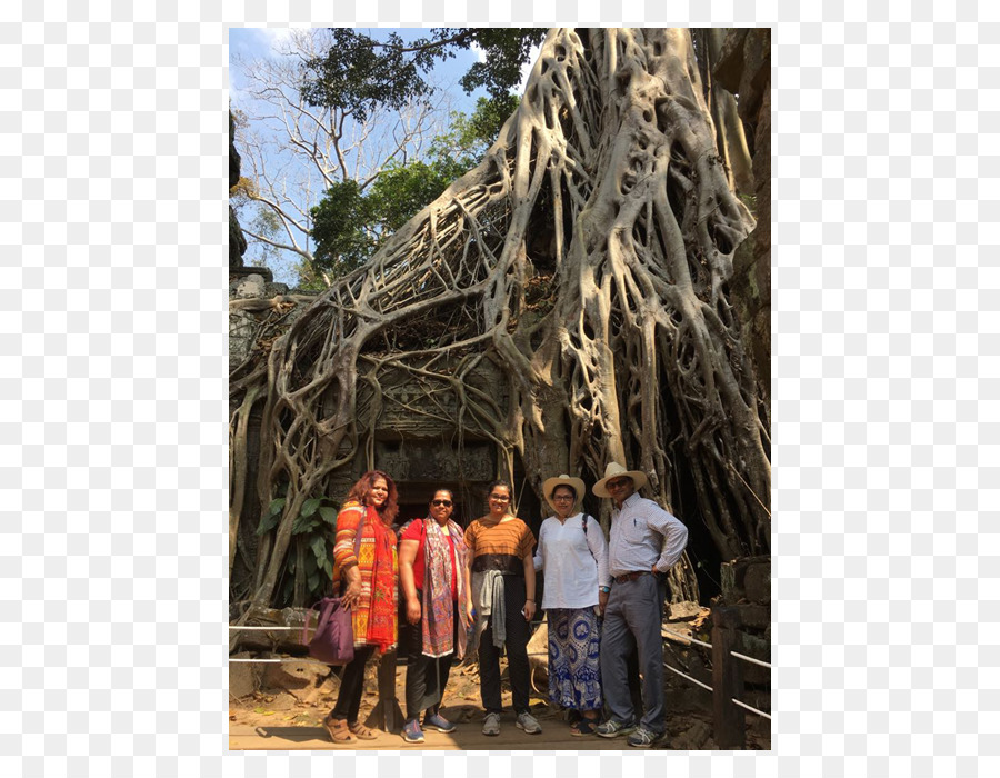 Ta Prohm，Angkor PNG