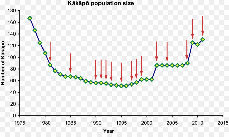 Papağan，Kakapo PNG