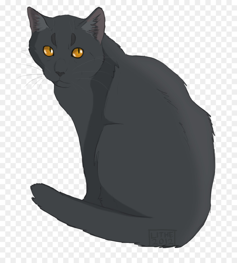 Kedi，Evcil Hayvan PNG