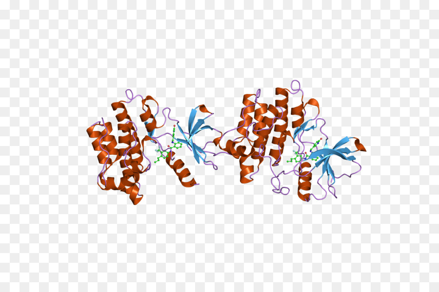 Protein Yapısı，Molekül PNG