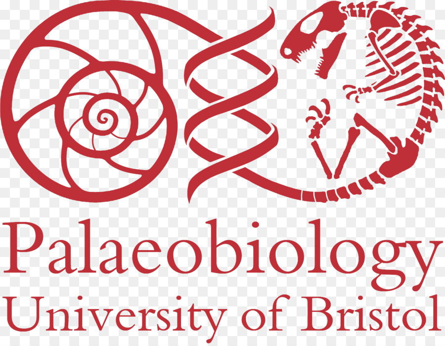 Bristol Üniversitesi，Dünya Bilimleri Yüksekokulu PNG