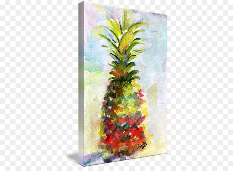 Ananas，Suluboya Resim PNG