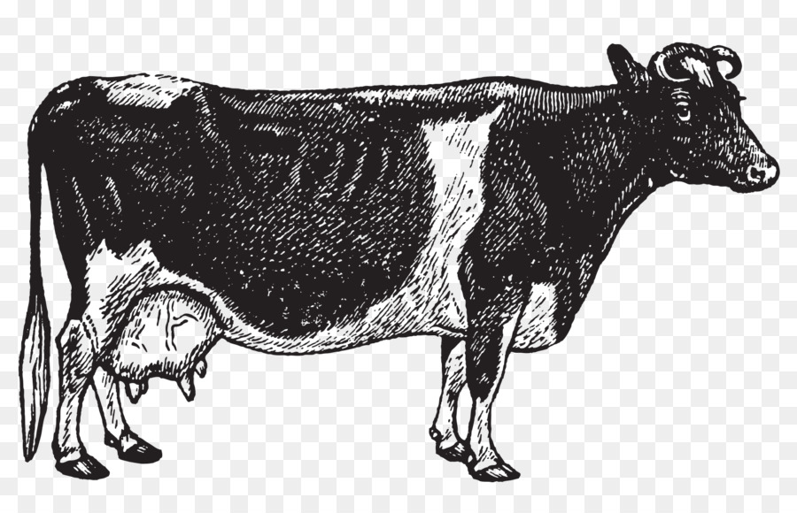 Sezar Salata，Zebu PNG