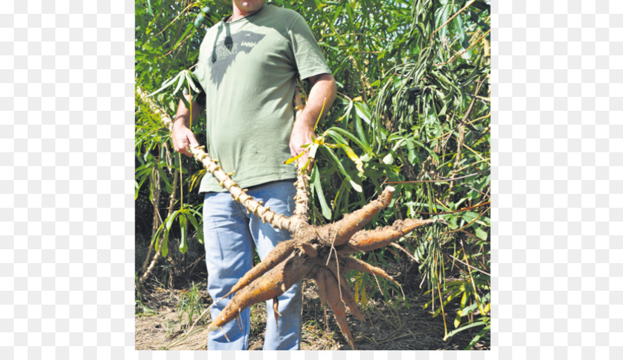 Bu Cerrito Ada，Paraná Nehri PNG