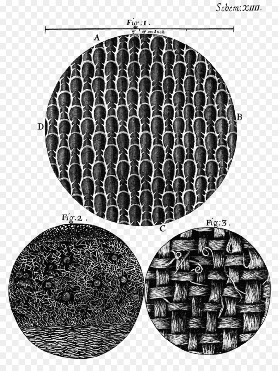 Micrographia，Dakika Cesetleri Micrographia Ya Da Bazı Fizyolojik Açıklamalar PNG