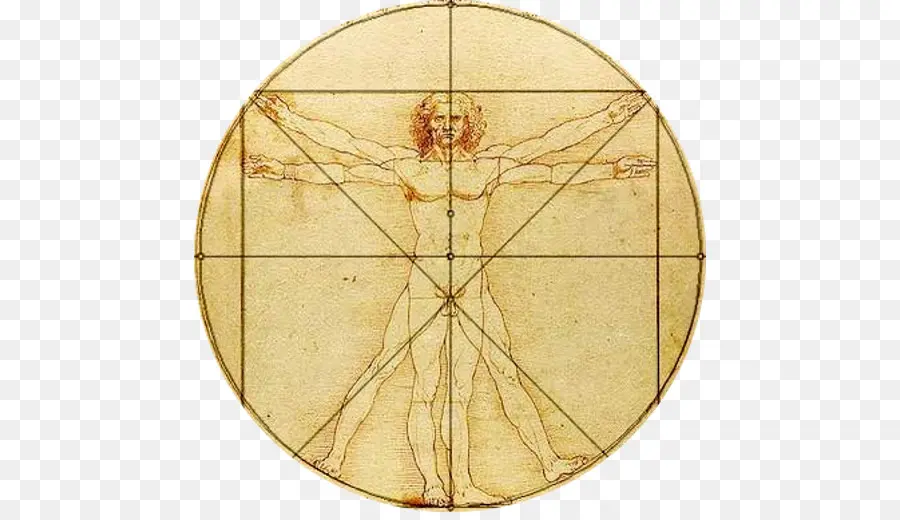 Vitruvius Adamı，Leonardo Da Vinci PNG