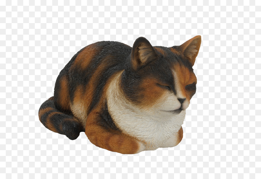 Uyuyan Kedi，Evcil Hayvan PNG