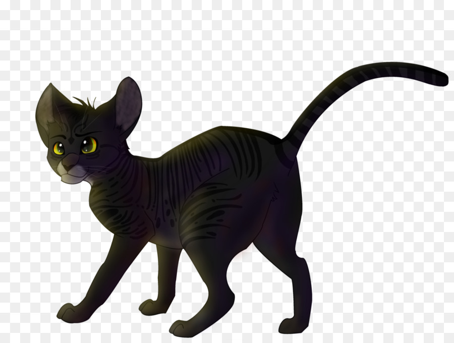 Kun，Siyah Kedi PNG