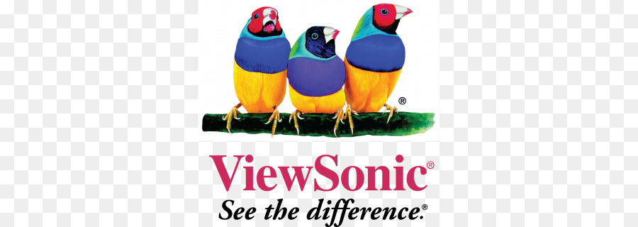 Viewsonic，Logo PNG