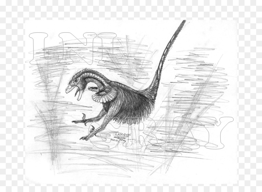 Gaga，Velociraptor PNG
