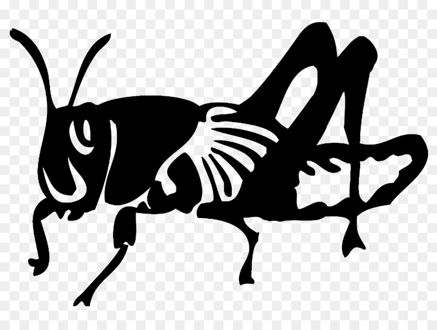 Böcek，Keçiboynuzu PNG
