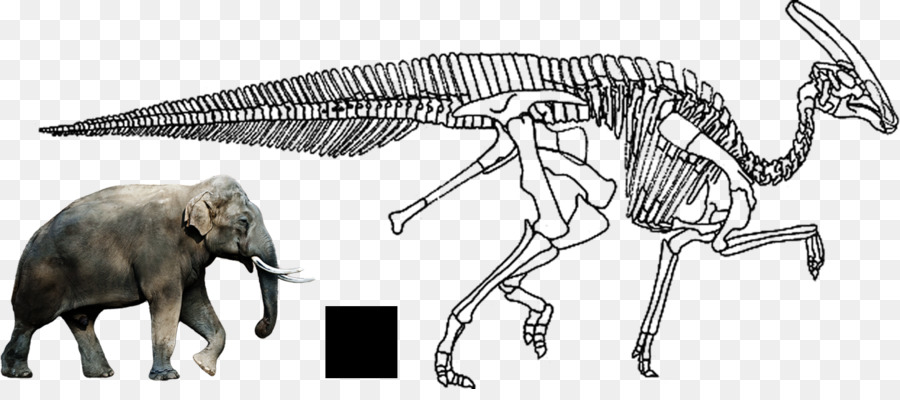 Afrika Fili，Charonosaurus PNG