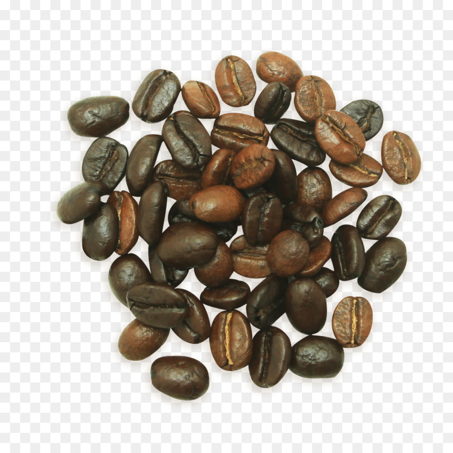 Kahve，Fındık PNG