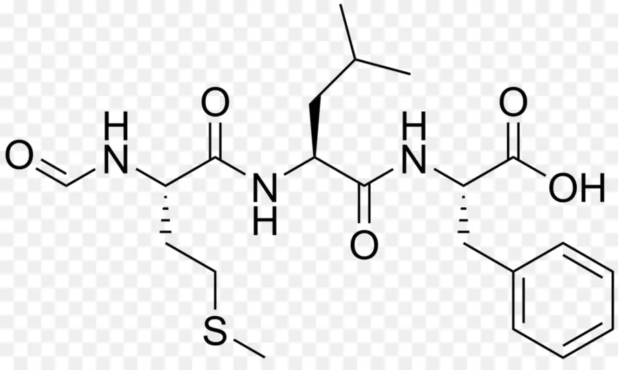 Fenilalanin，Kimyasal Madde PNG