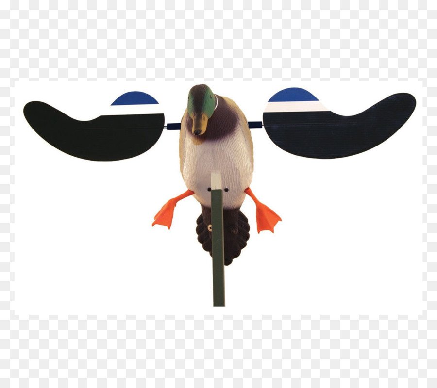 Yeşilbaş，ördek PNG