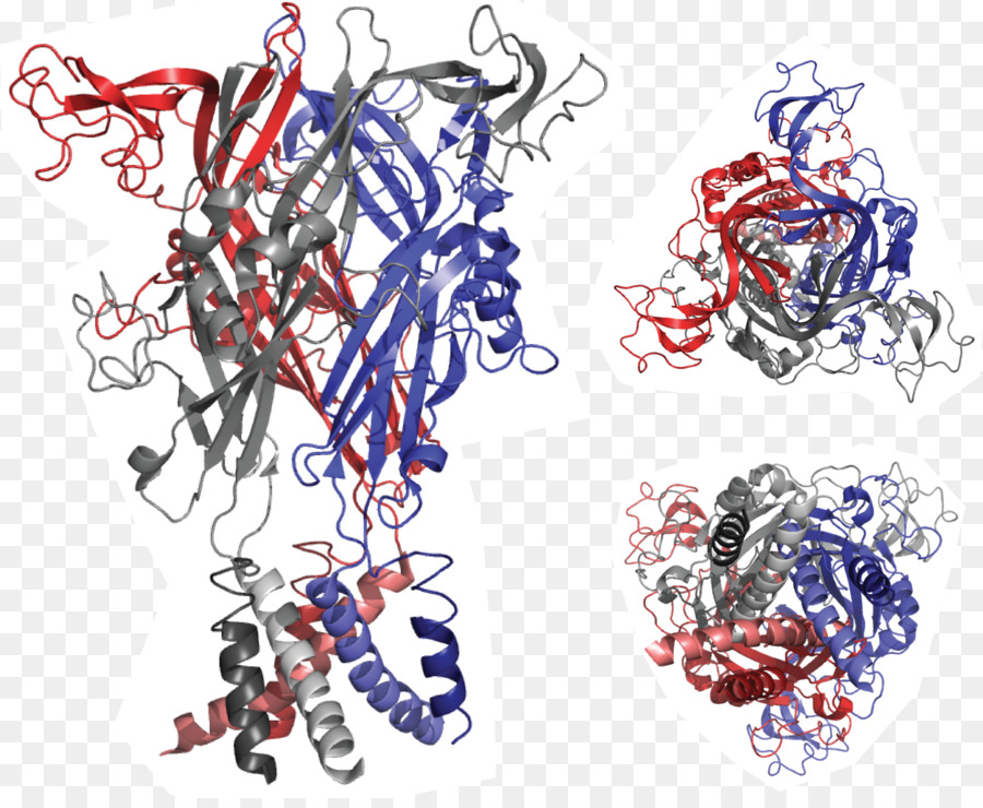 Protein Yapısı，Molekül PNG