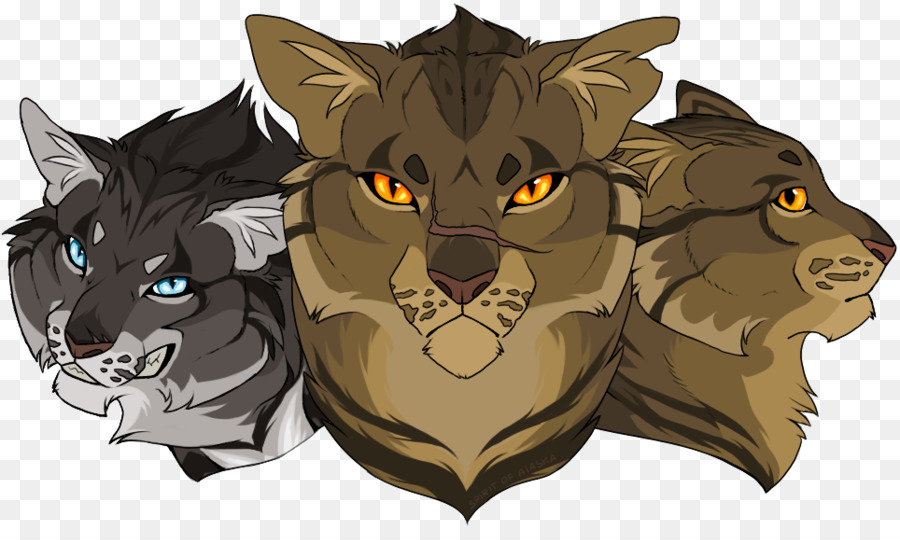 Kedi，Tigerstar PNG